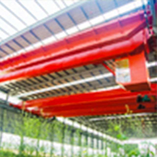 C Hook Type Bridge Crane for Coil