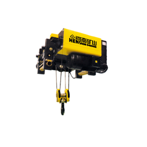 Euro Electric Hoist