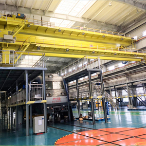 Overhead Crane with Electric Hook