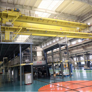 Hook Double Girder Overhead Crane