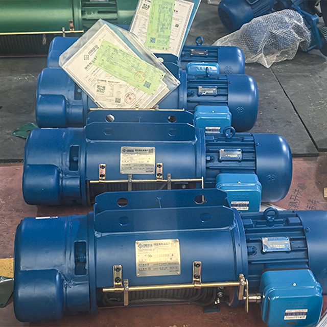 Wire Rope Electric Hoist