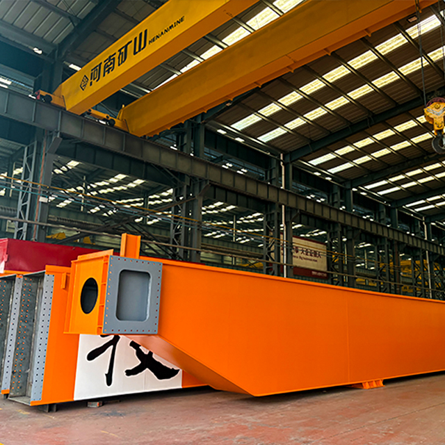 Double Girder Hook Type Gantry Crane (MG)