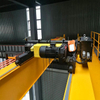 Euro Electric Hoist