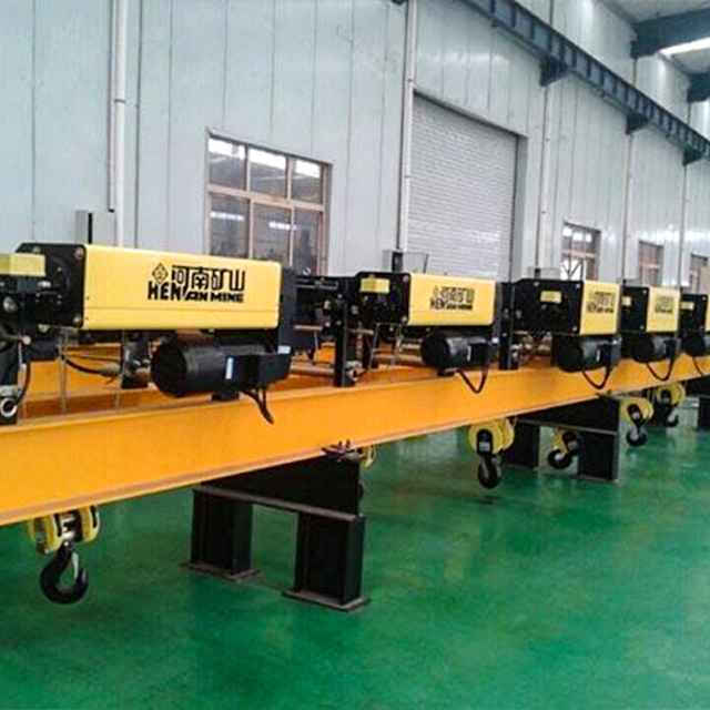 Euro Electric Hoist